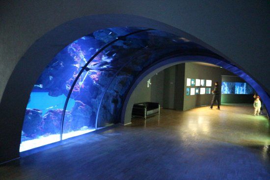 Acuario Cívico de Milán